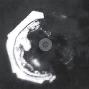 Masura Emoto foto leidingwater