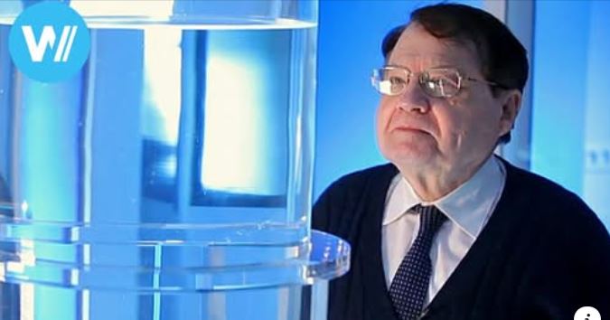 Luc Montagnier en wateronderzoek: vitaal oftewel coherent water is van levensbelang