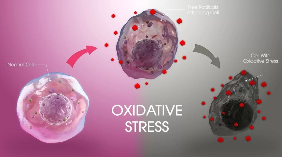 Oxidatieve stress door straling van zendmasten wifi en mobieltjes