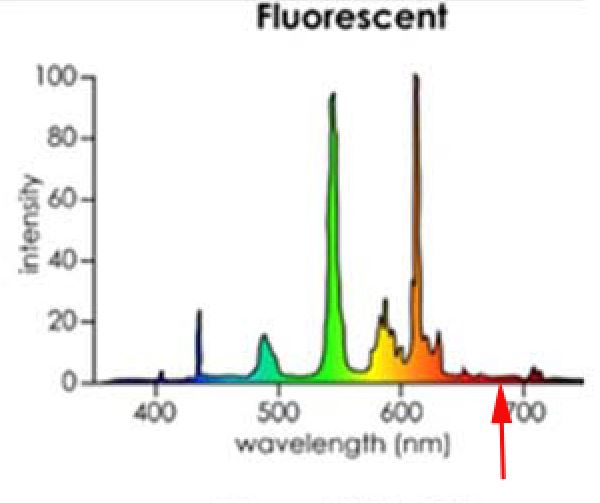 Lichtspectrum TL