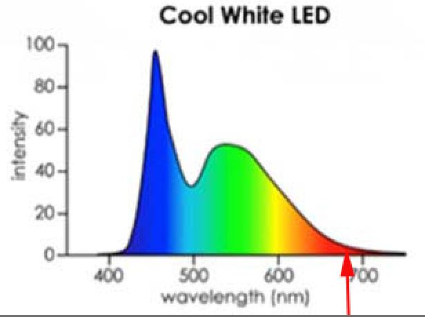 Lichtspectrum cool white led