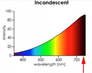 Lichtspectrum Gloeilamp Lichtspectrum gloeilamp