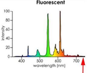 Lichtspectrum TL Lichtspectrum TL