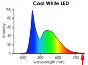 Lichtspectrum cool white led Lichtspectrum cool white led