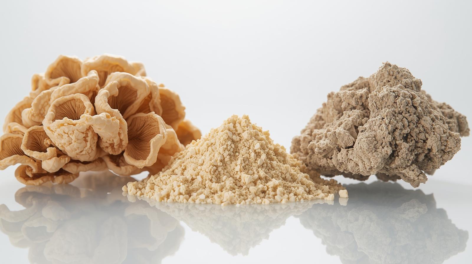 Turkey Tail extract (Yun Zhi), MCT poeder en zeoliet