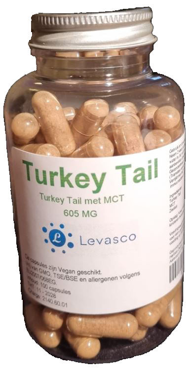 Turkey Tail extract (Yun Zhi)