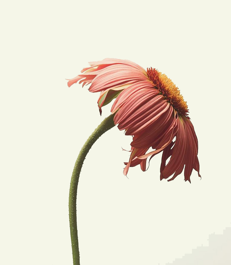 verminderde weerstand door burn-out