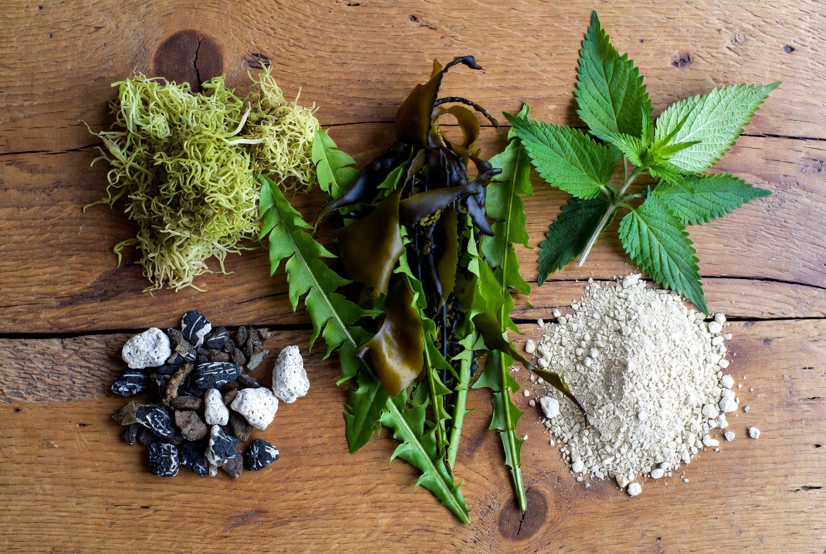 Natuurlijke ingrediënten van Anti-stralings capsules: Iers mos, blaaswier, paardenbloem, brandnetel, zeoliet en kaoliniet